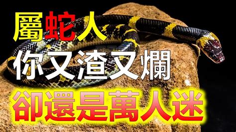 蛇跟豬|屬蛇和屬豬相衝，該如何破解？